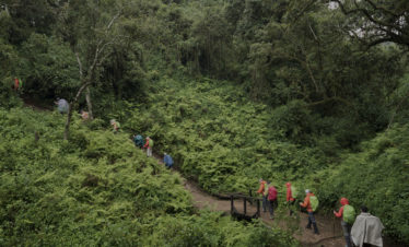 Mt Kilimanjaro: Machame Route