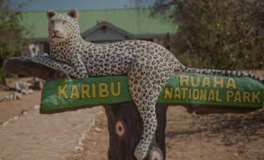 6Days of Ruaha, Mikumi, Selous